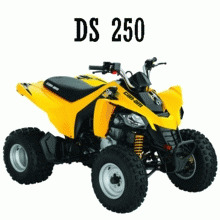 Can-Am DS 250 Can-Am DS 250
