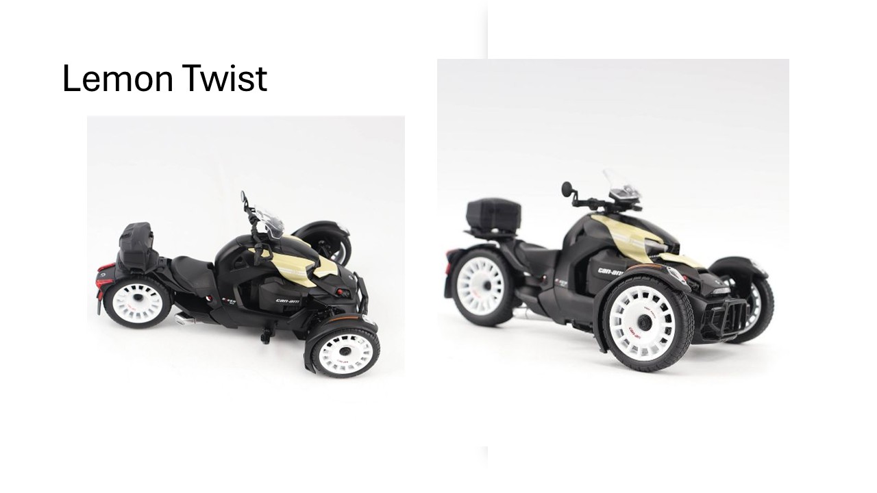 Can-Am Model Ryker Rally 1:32