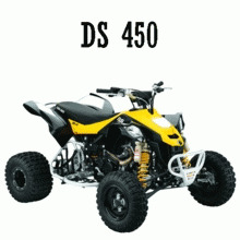 Can-Am DS 450 Can-Am DS 450