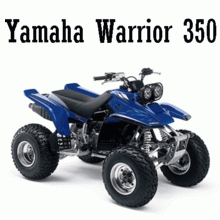 YFM350 Warrior