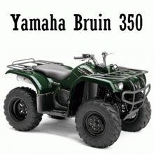Bruin 350 4x4