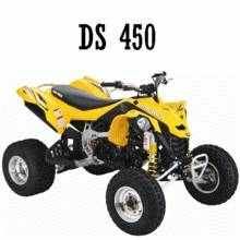 DS 450 CE STD & X