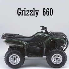 Grizzly 660 Bj. 2004