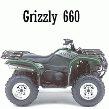 Grizzly 660 Bj: 2002